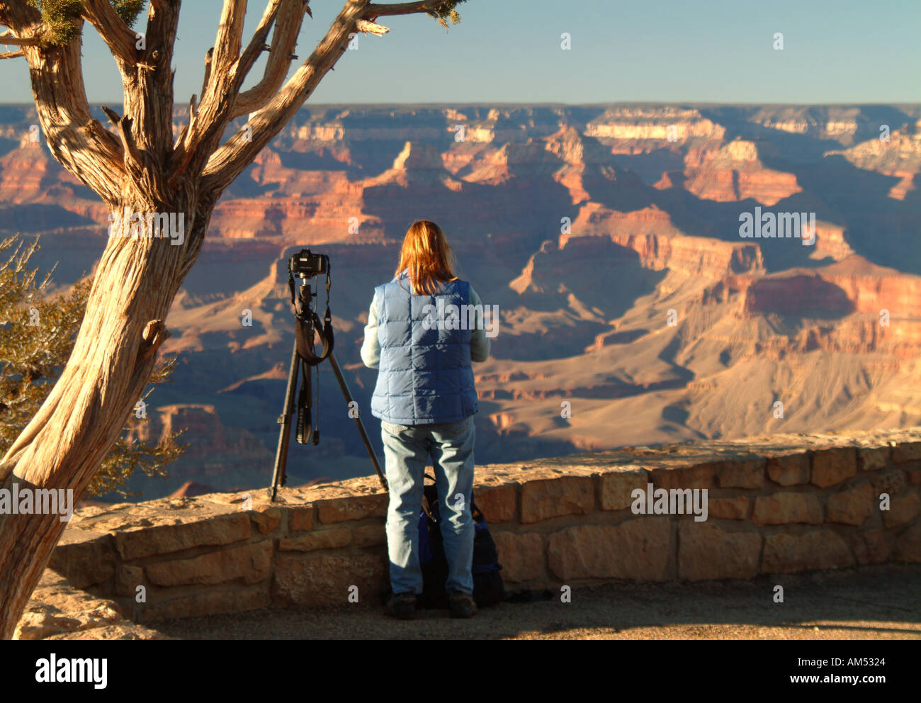 A woman tourist at the Grand Canyon taking pictures with a tripod Stock Photo