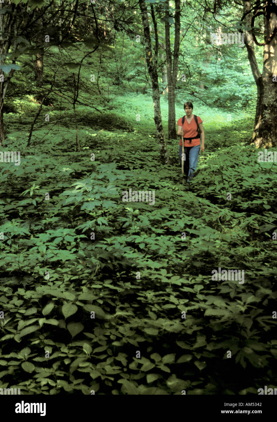 woman walks along a narrow foot path in the woods Stock Photo