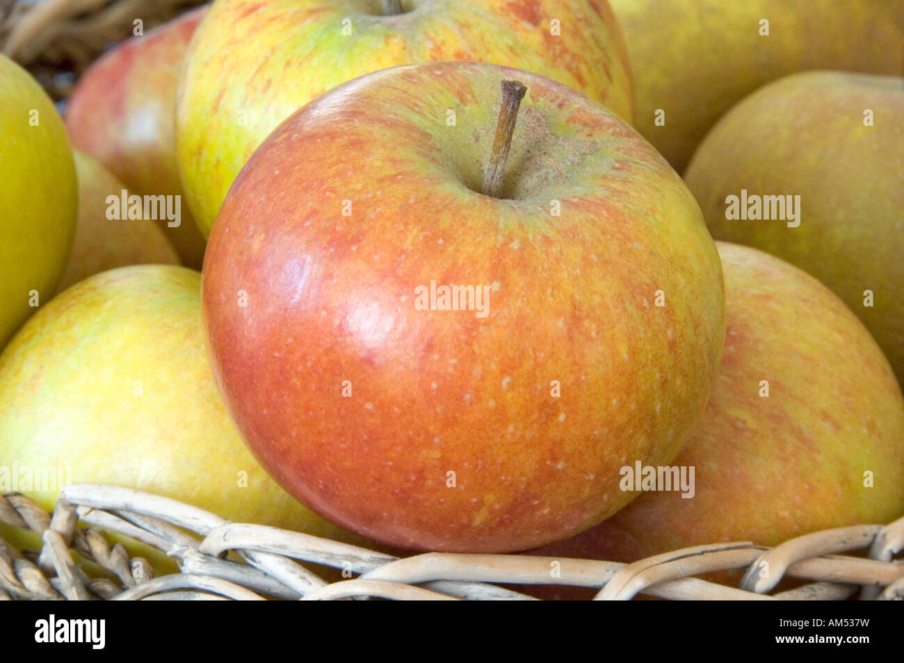 Cox s Orange Pippin apples in basket Stock Photo