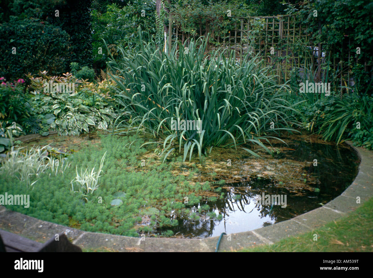 Garden Pond Stock Photo