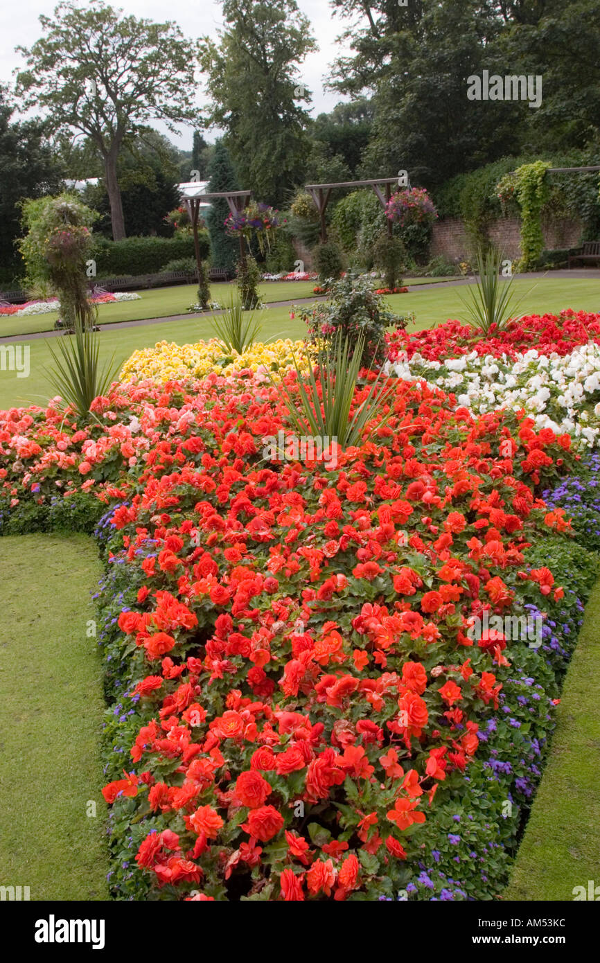 Plants in The Walled Garden in Bellahouston Park Glasgow Scotland UK