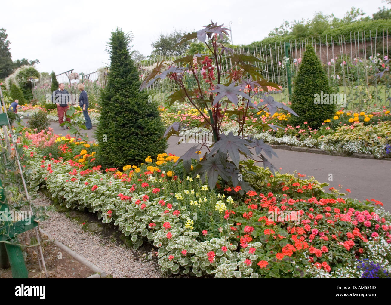 Plants in The Walled Garden in Bellahouston Park Glasgow Scotland UK
