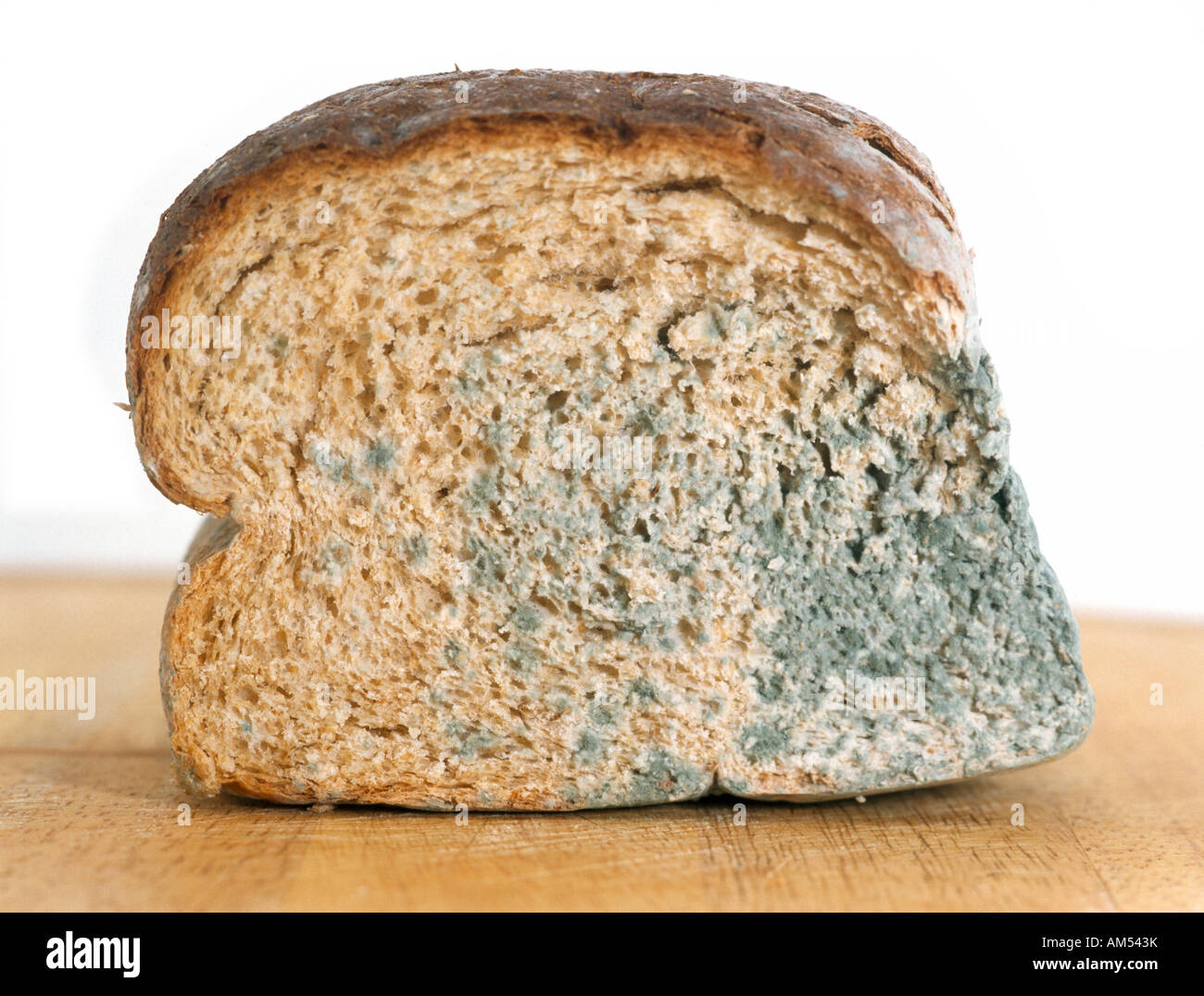 mouldy-bread-stock-photo-alamy