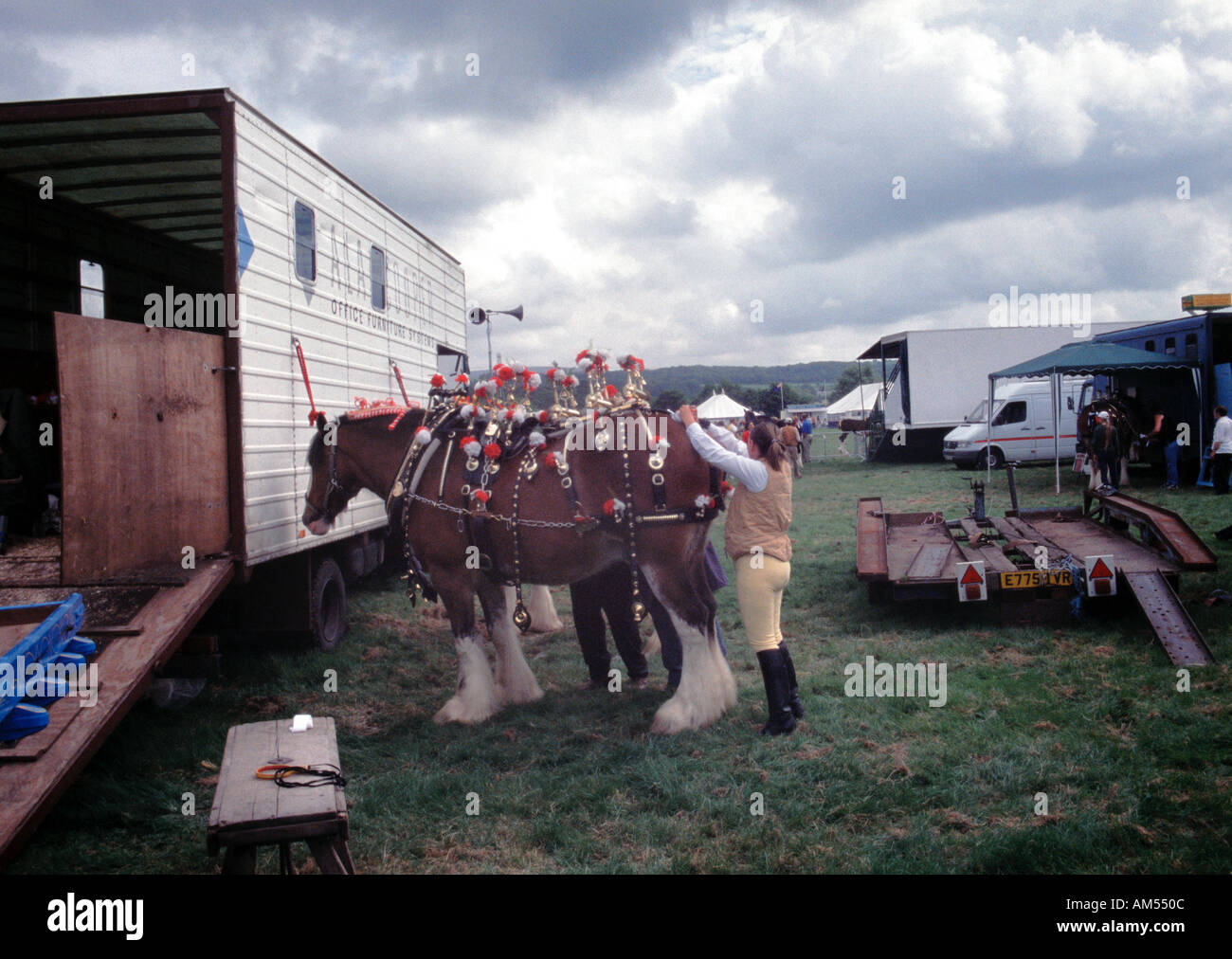 Shire horse heavy agricultural hires stock photography and images Alamy