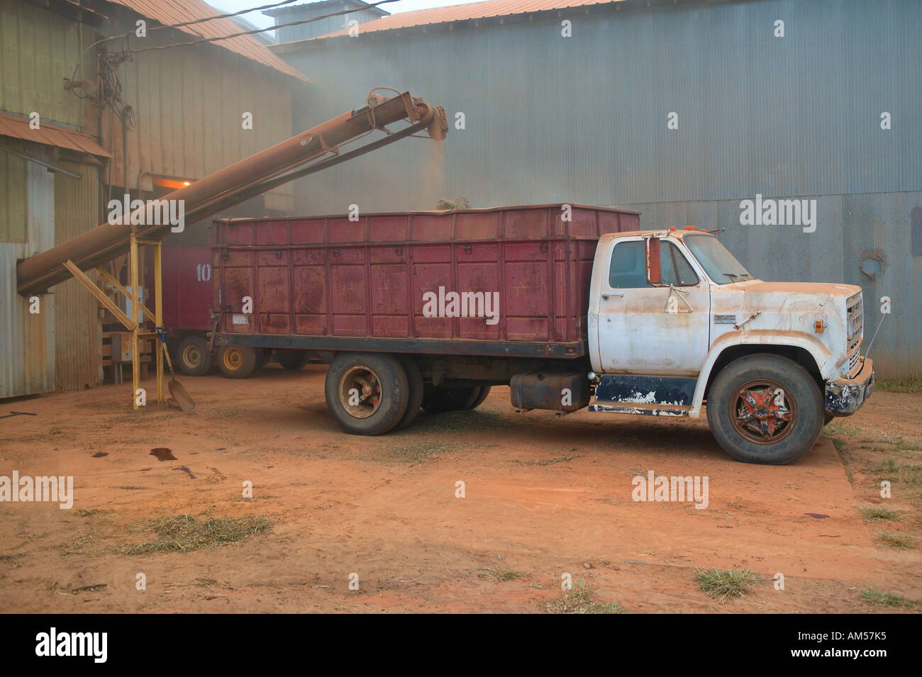 Peanuts being loaded onto truck at peanut facility in Plains