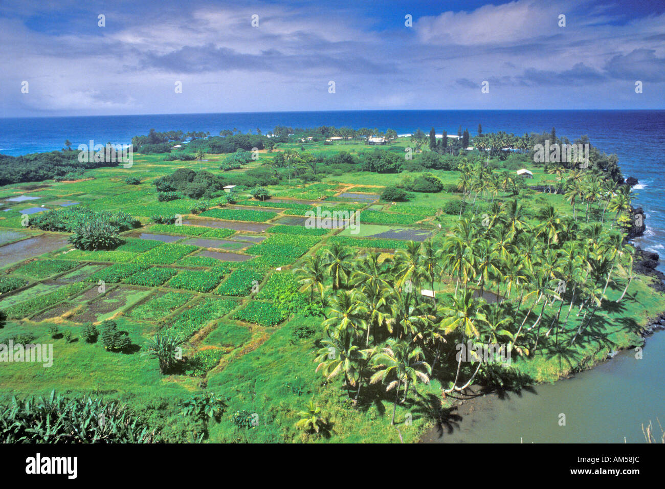 Green coastal fields ocean hi-res stock photography and images - Alamy
