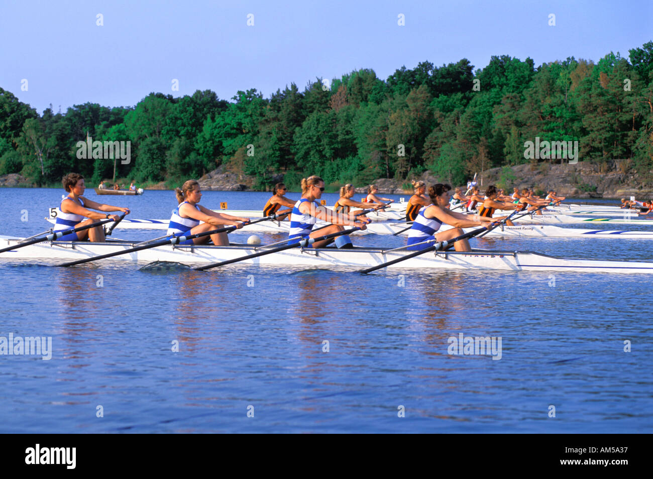 TEAMWORK COOPERATION ROWING COMPETITION FARSTA STRAND Stock Photo - Alamy