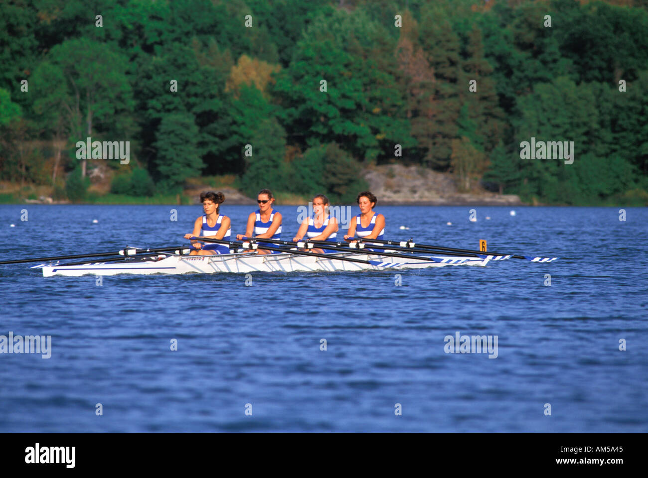 TEAMWORK COOPERATION STOCKHOLM ROWING CLUB Stock Photo Alamy