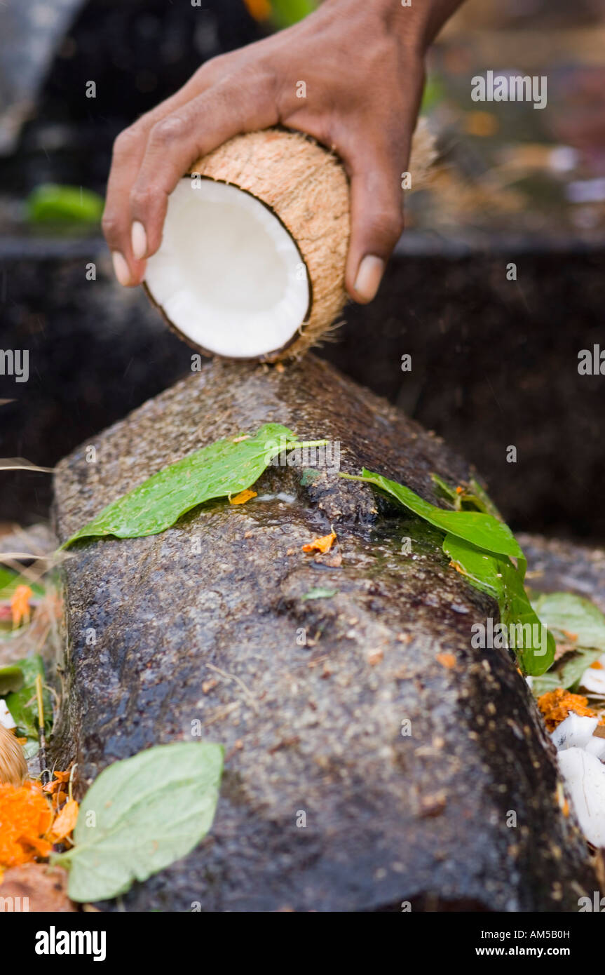 Person's hand making a religious offering of coconut, Tirupati