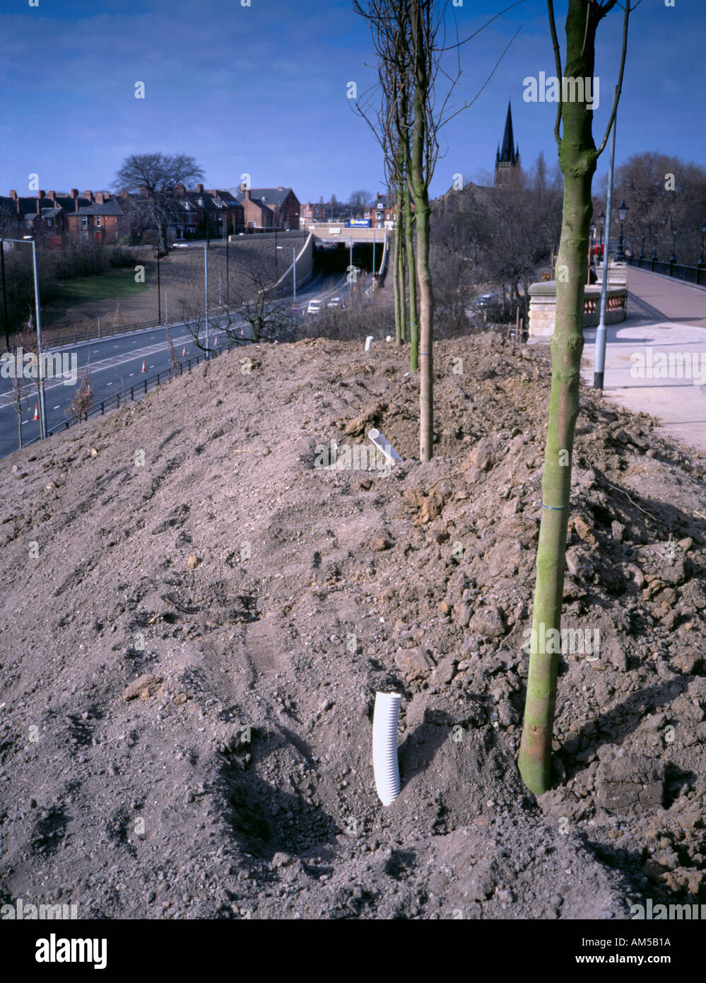 Newly planted trees beside a new road crossing Jesmond Dene in the