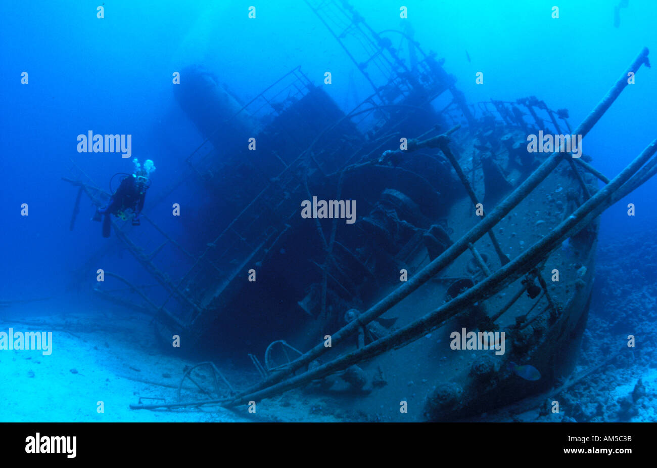 Shipwreck Giannis D with diver Egypt Stock Photo