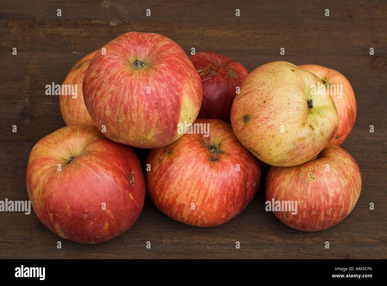 Untreated biological apples, Hassberge, Lower Franconia, Bavaria, Germany Stock Photo
