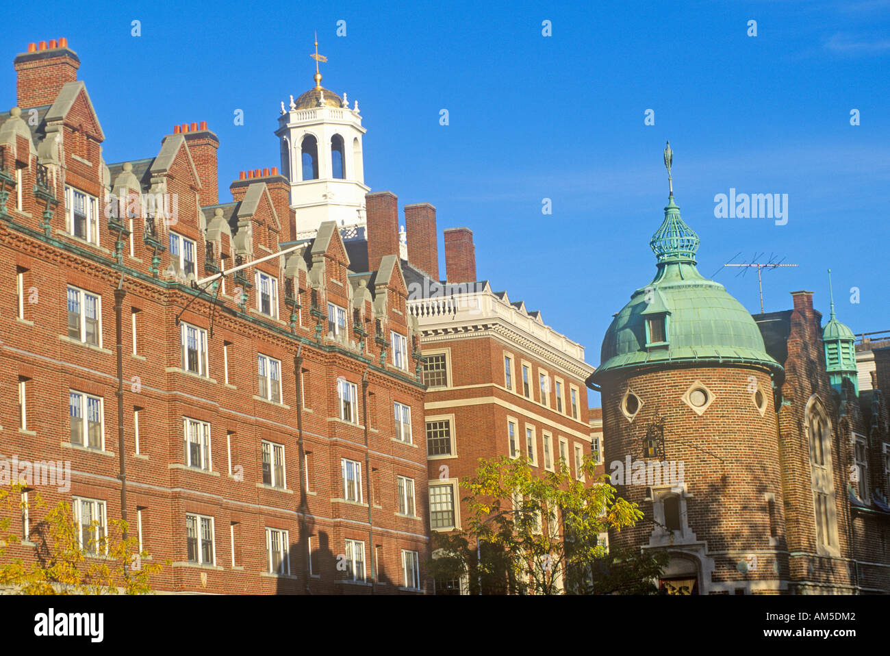 Harvard University Cambridge Massachusetts Stock Photo Alamy Harvard University Cambridge Massachusetts Stock Photo Alamy