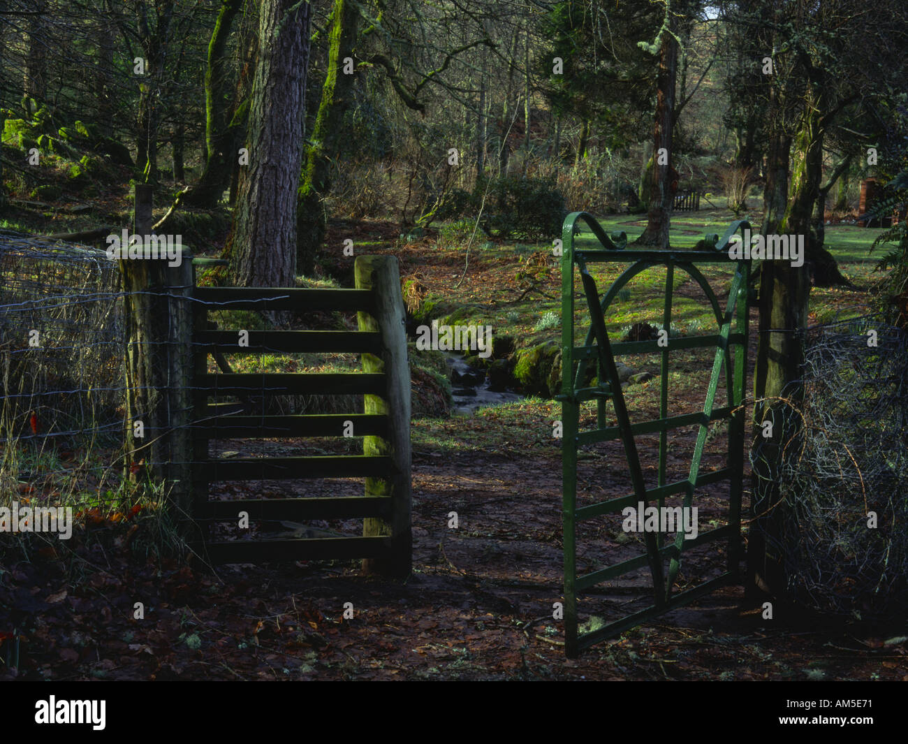 Ford argyll hires stock photography and images Alamy