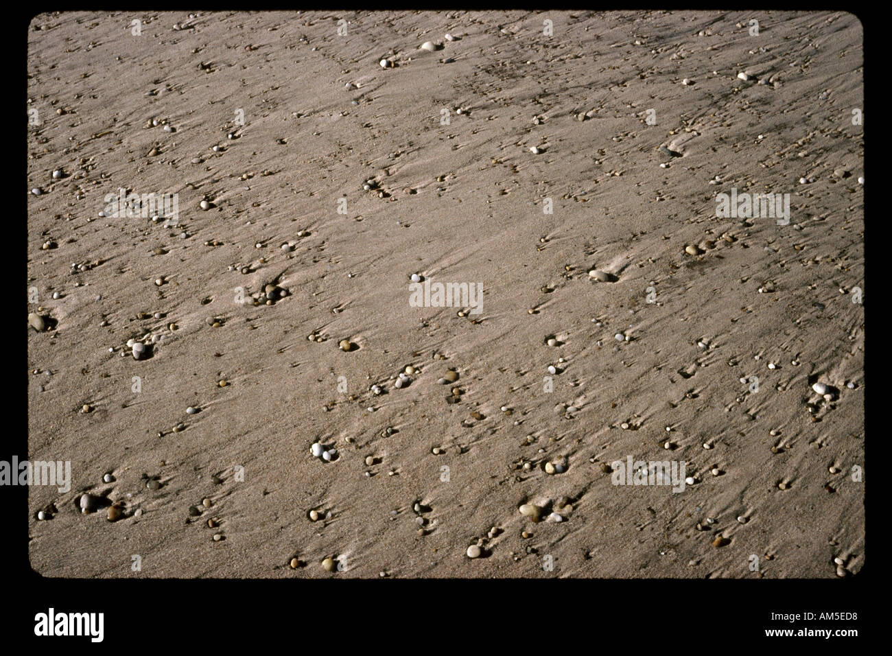 Wet pebbles on the beach hi-res stock photography and images - Alamy