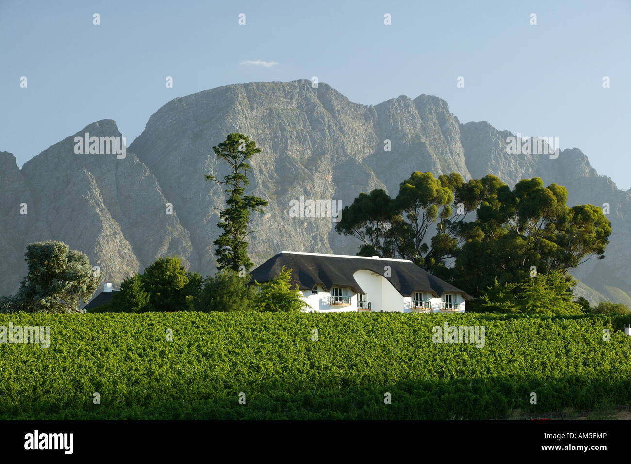 Country home in the Winelands, Cape Town, South Africa Stock Photo