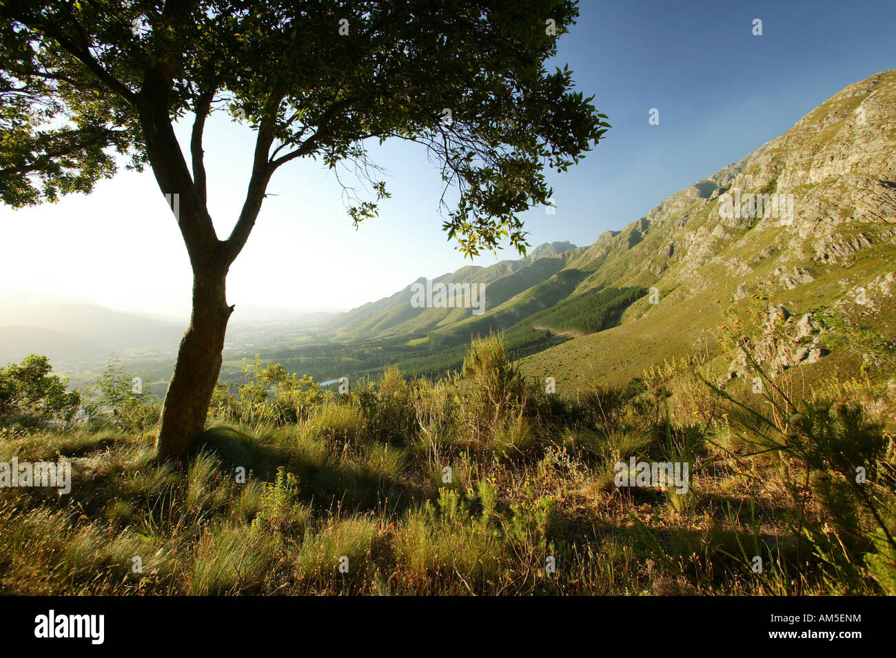 View over the Winelands, Cape Town, South Africa Stock Photo