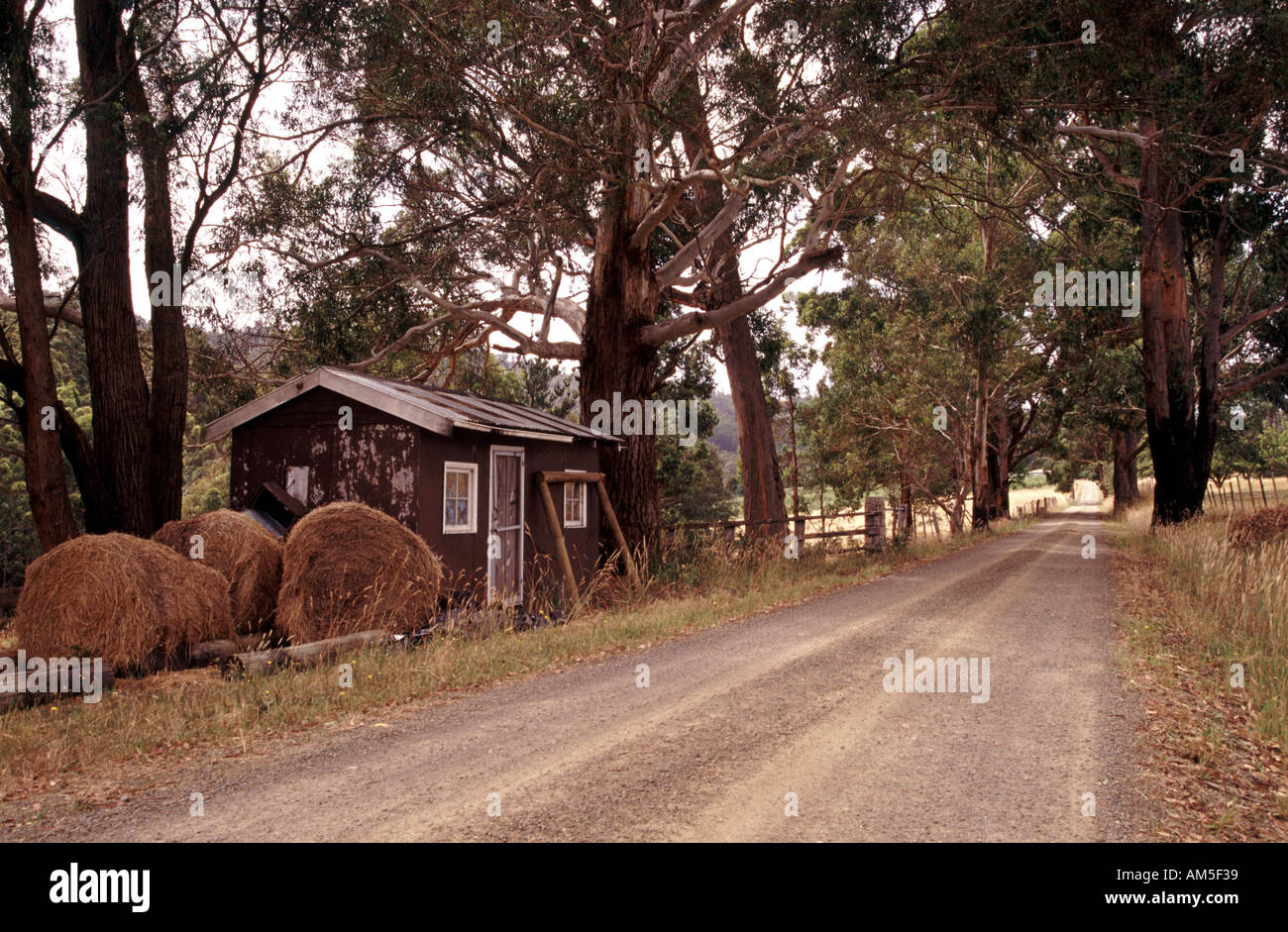 tasmania hires stock photography and images Alamy