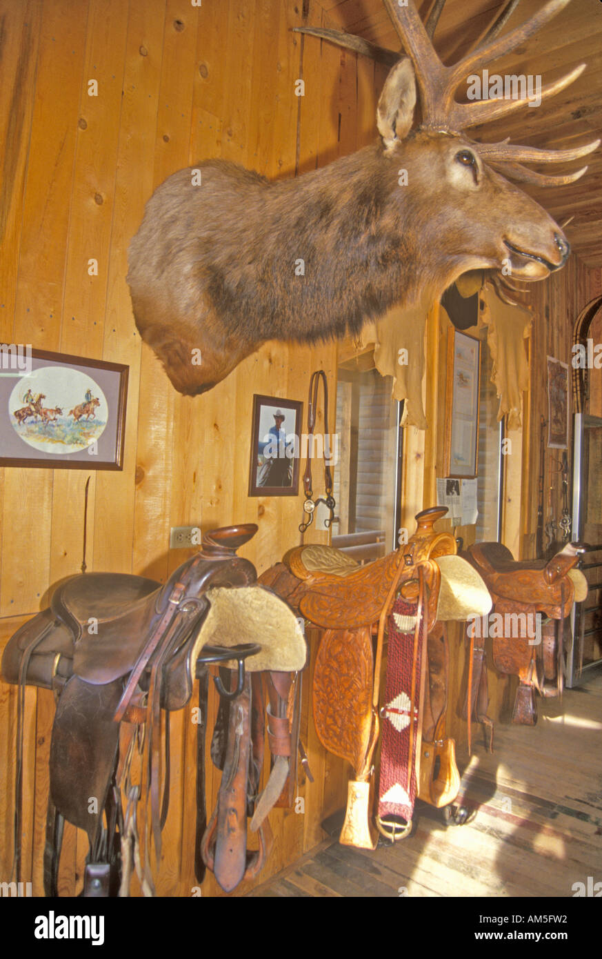 Three Forks Custom Saddlery MT Stock Photo Alamy