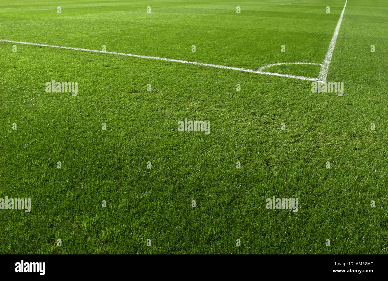 Football pitch Stock Photo