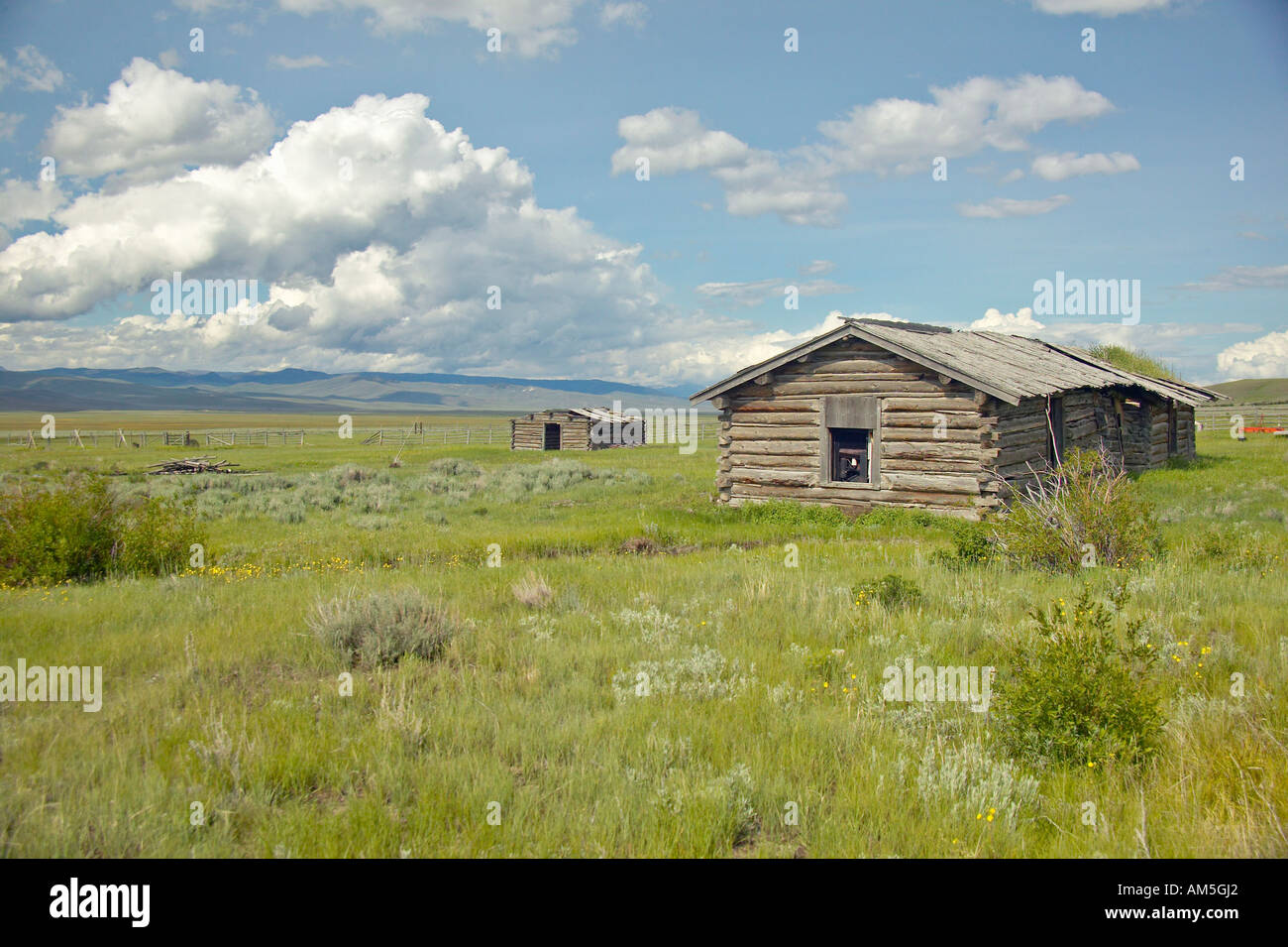 Deserted cabin in Centennial Valley near Lakeview MT Stock Photo Alamy