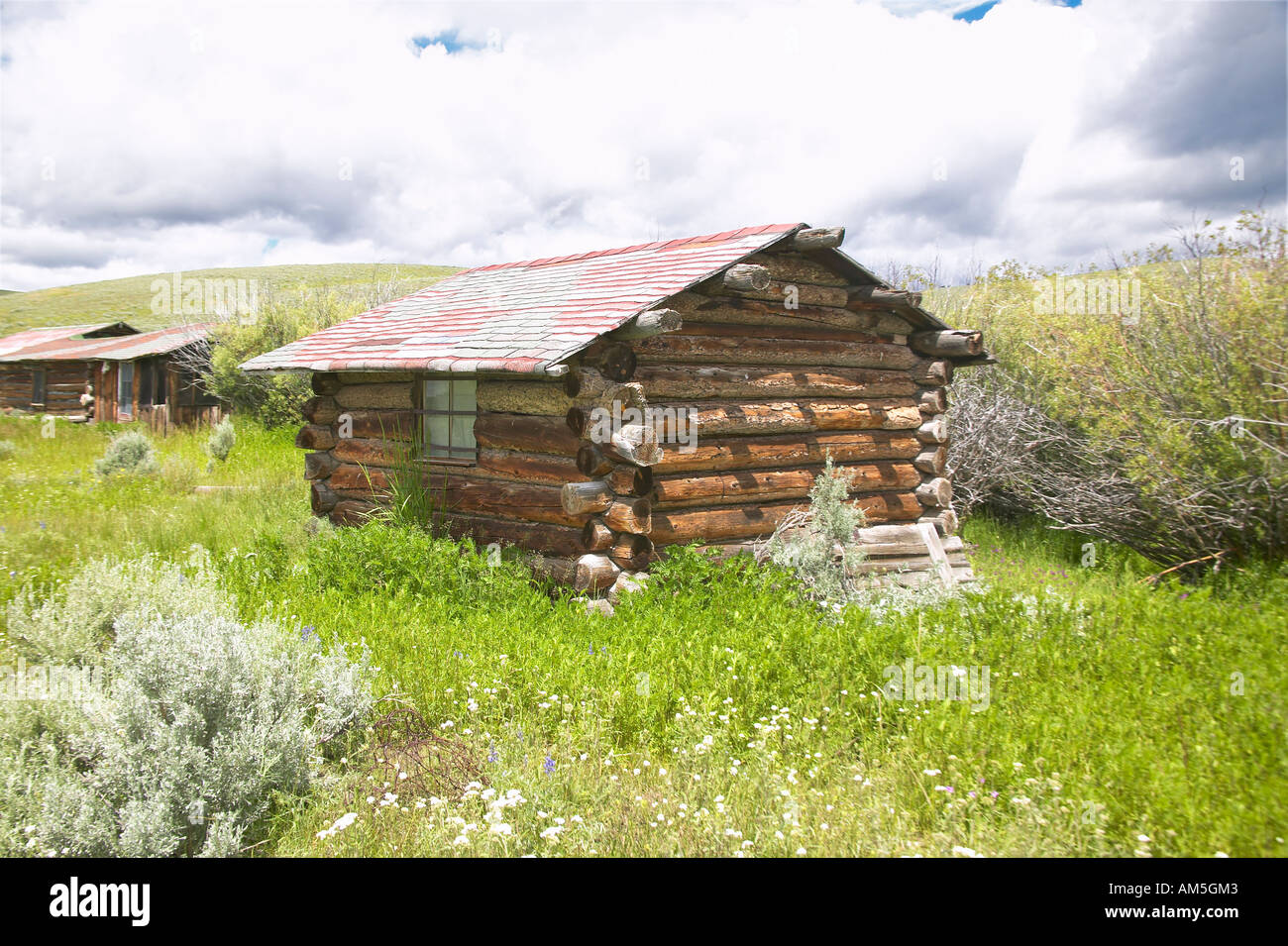 Deserted old homestead in summer in Centennial Valley near Lakeview MT