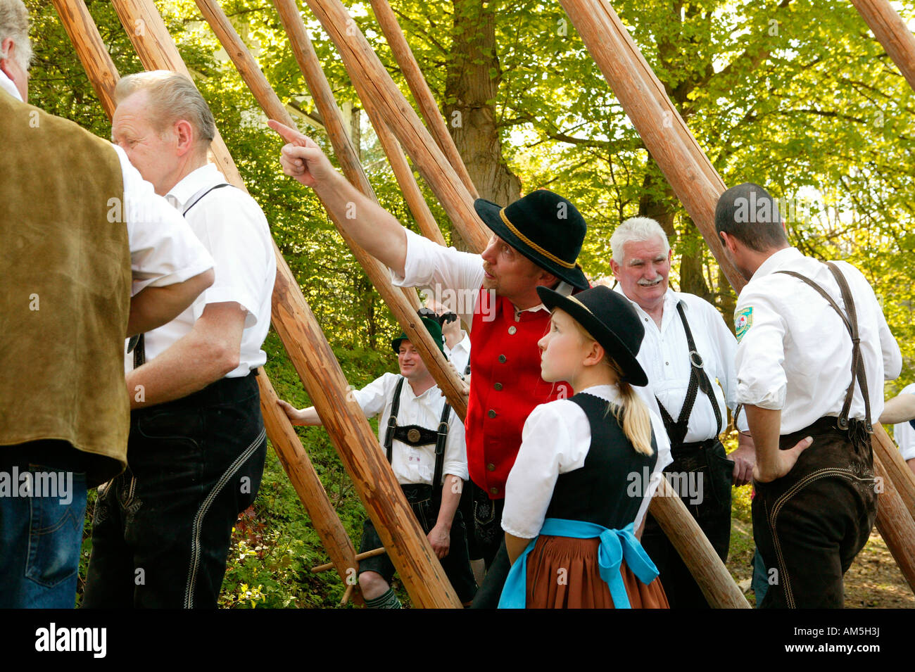 Setting up of the maypole, Graming, Upper Bavaria, Bavaria, Germany ...