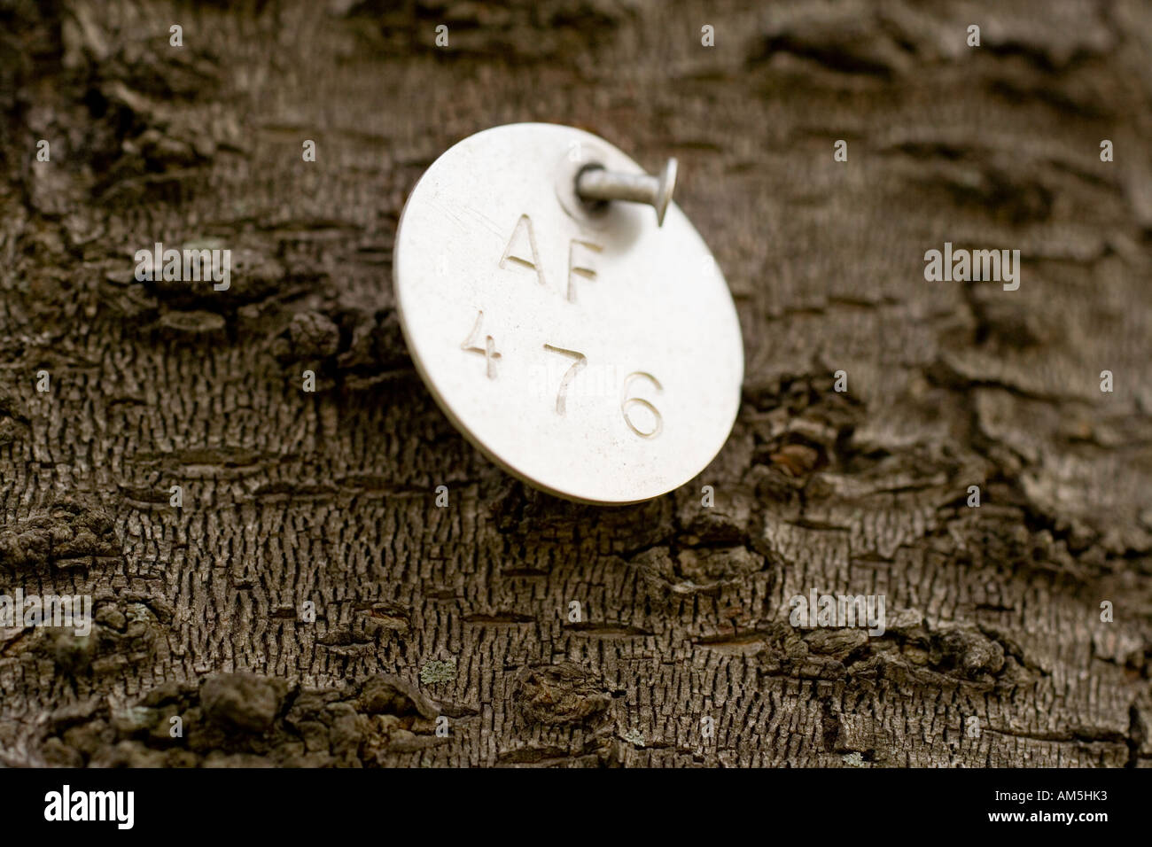 Inventory tag on a cherry tree at the Tidal Basin in Washington DC. Stock Photo