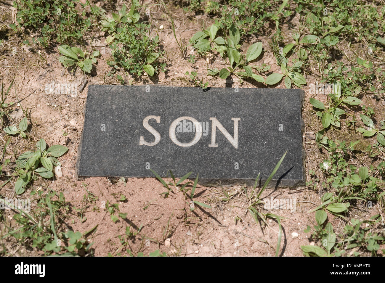 Stone in a cemetery. Son. Stock Photo