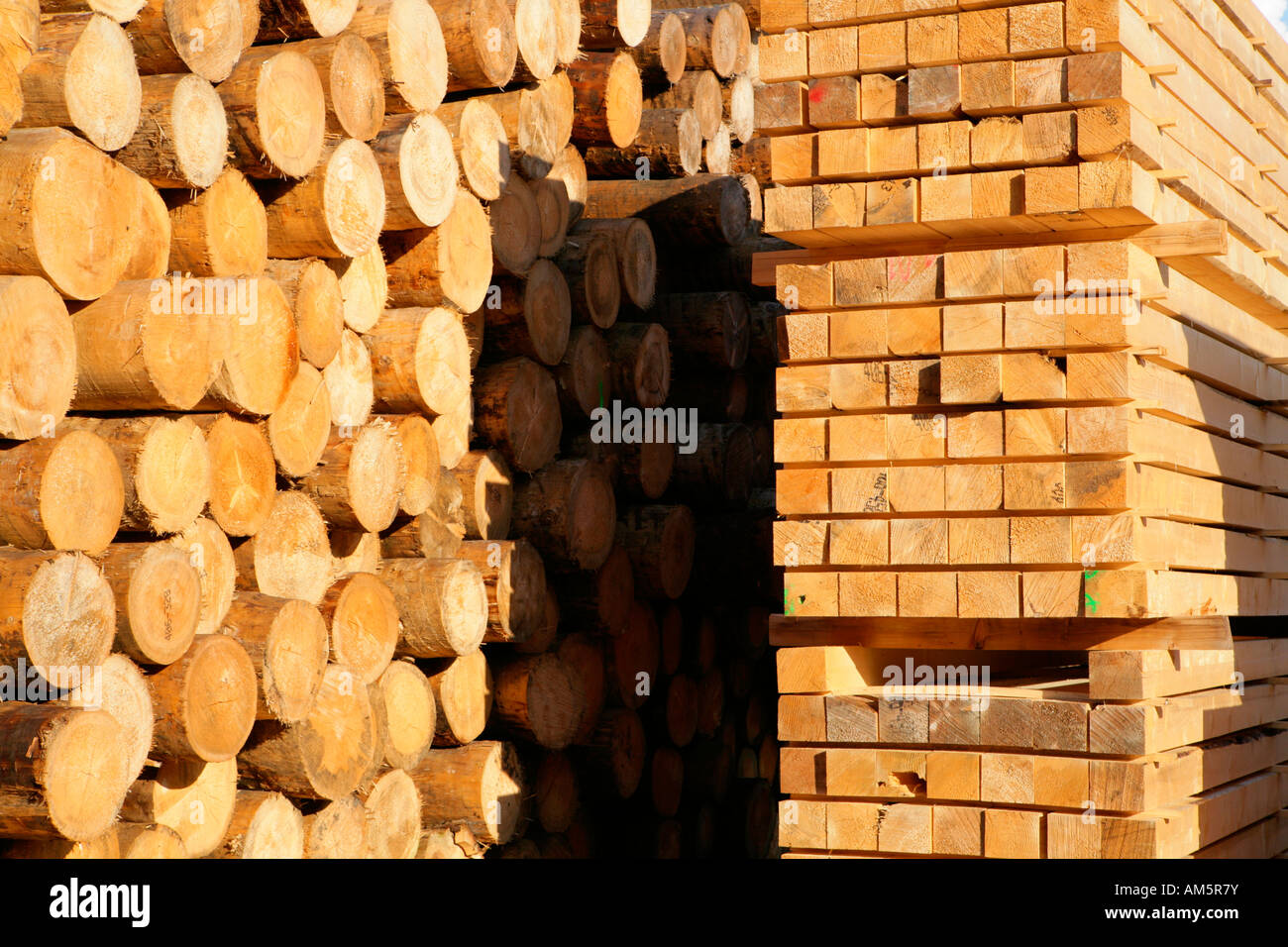 Hulled tree trunks and wooden beams on a lumberyard Stock Photo