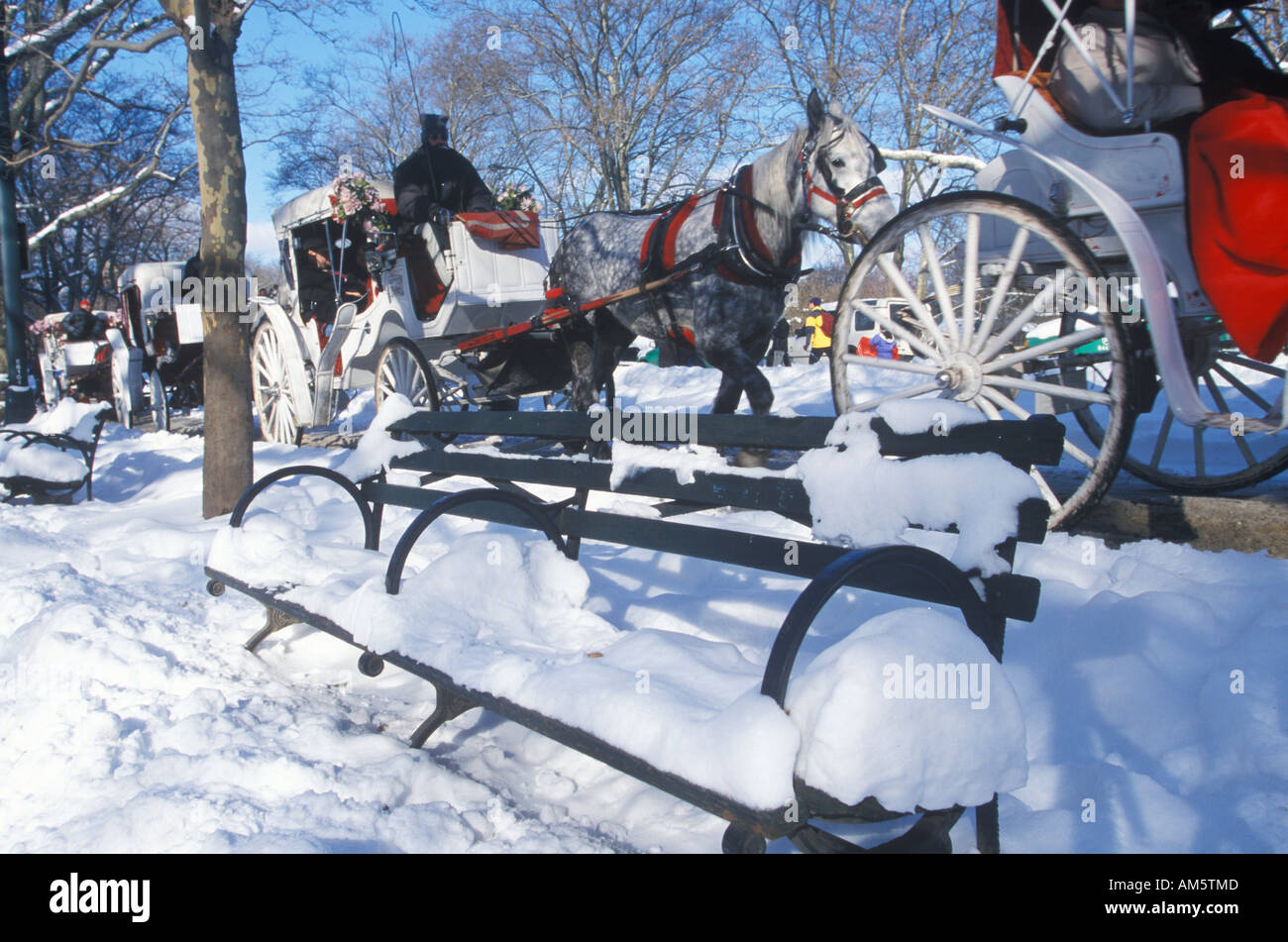 Horse carriage ride in Central Park Manhattan New York City NY after winter snowstorm Stock Photo