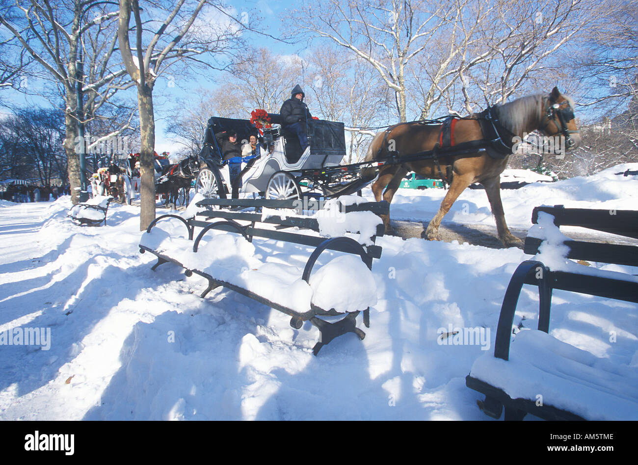 Central park carriage ride winter hi-res stock photography and images ...