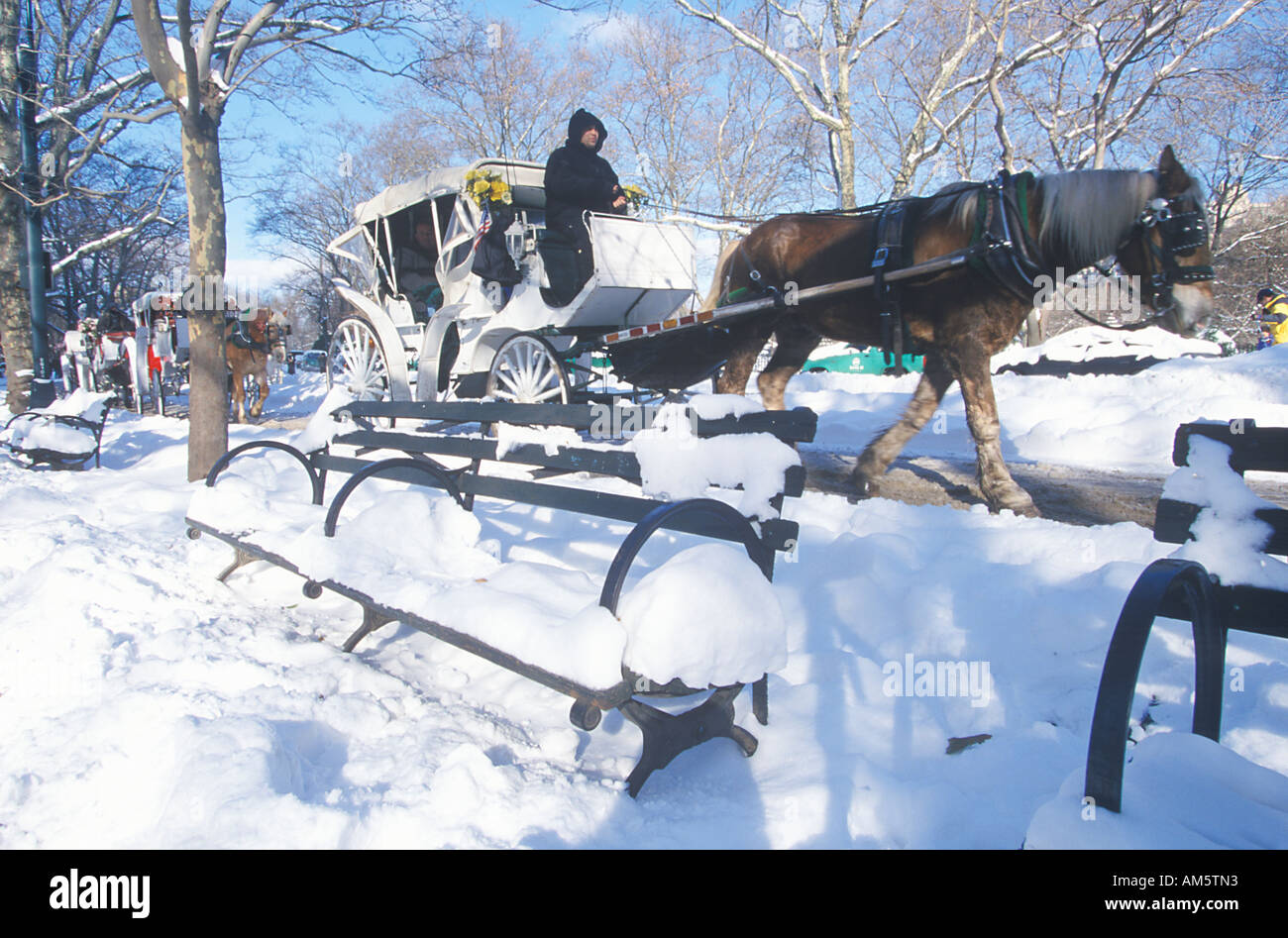 Horse carriage ride in Central Park Manhattan New York City NY after winter snowstorm Stock Photo