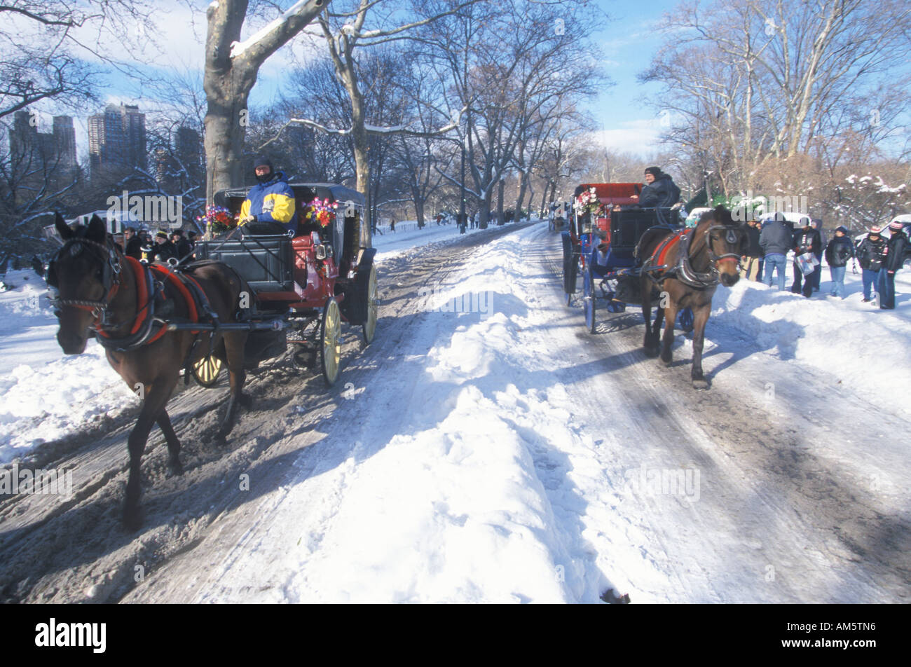 Central park winter horse hi-res stock photography and images - Alamy
