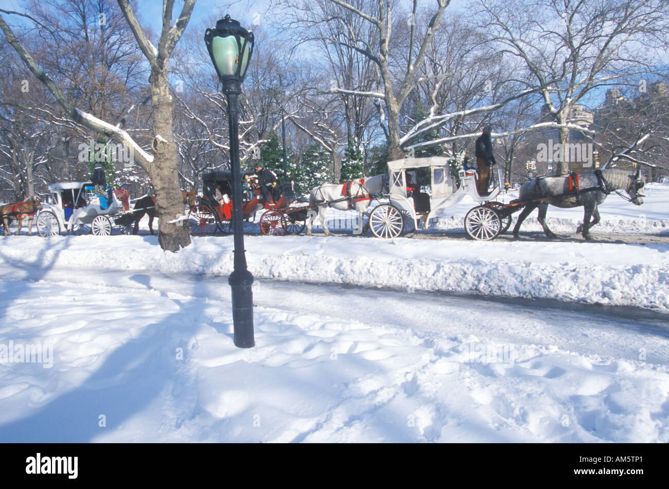 Central park carriage ride winter hi-res stock photography and images ...