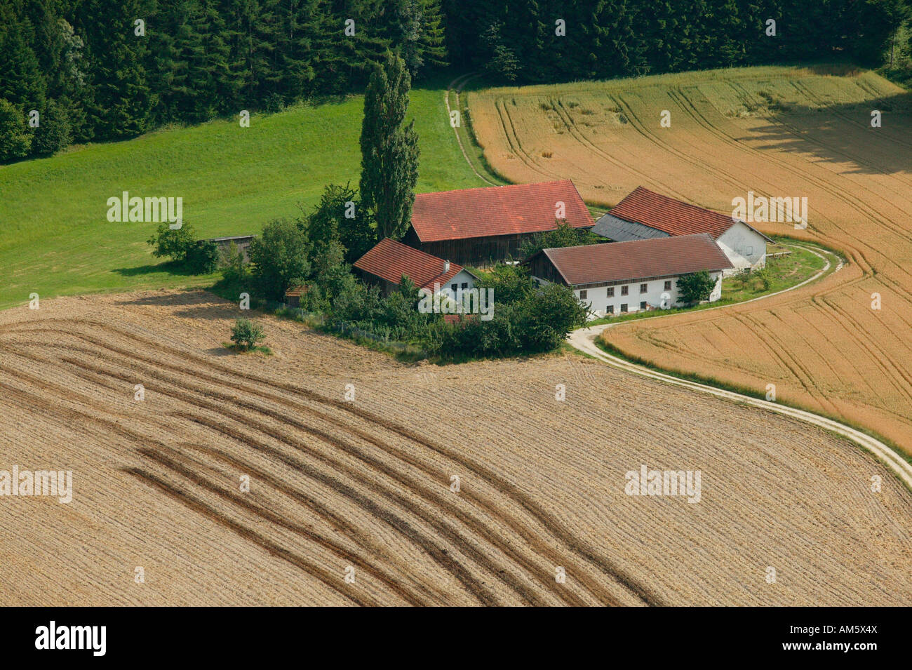 Farm between harvested grainfields, Lower Bavaria, Bavaria, Germany ...