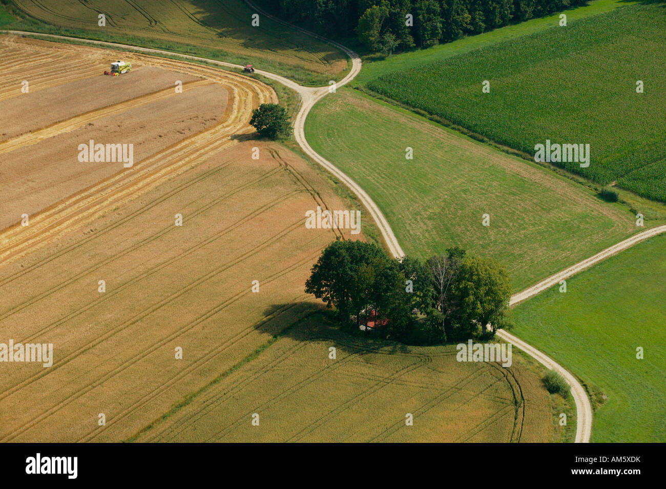 Agricultural path through fields, Bavaria, Germany Stock Photo - Alamy