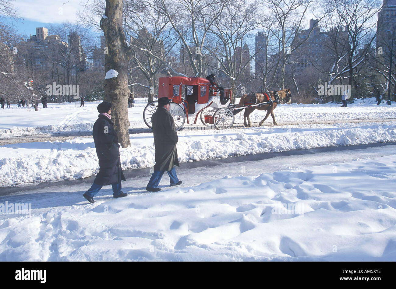 Central park carriage ride winter hi-res stock photography and images ...