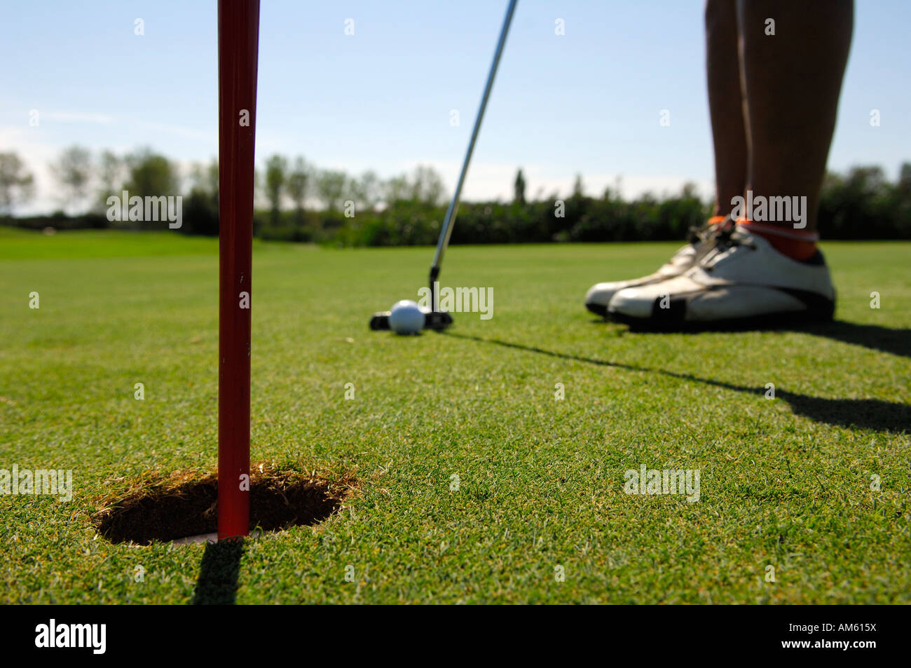 Golfer puting the ball, golf course, Caorle, Veneto, Italy Stock Photo