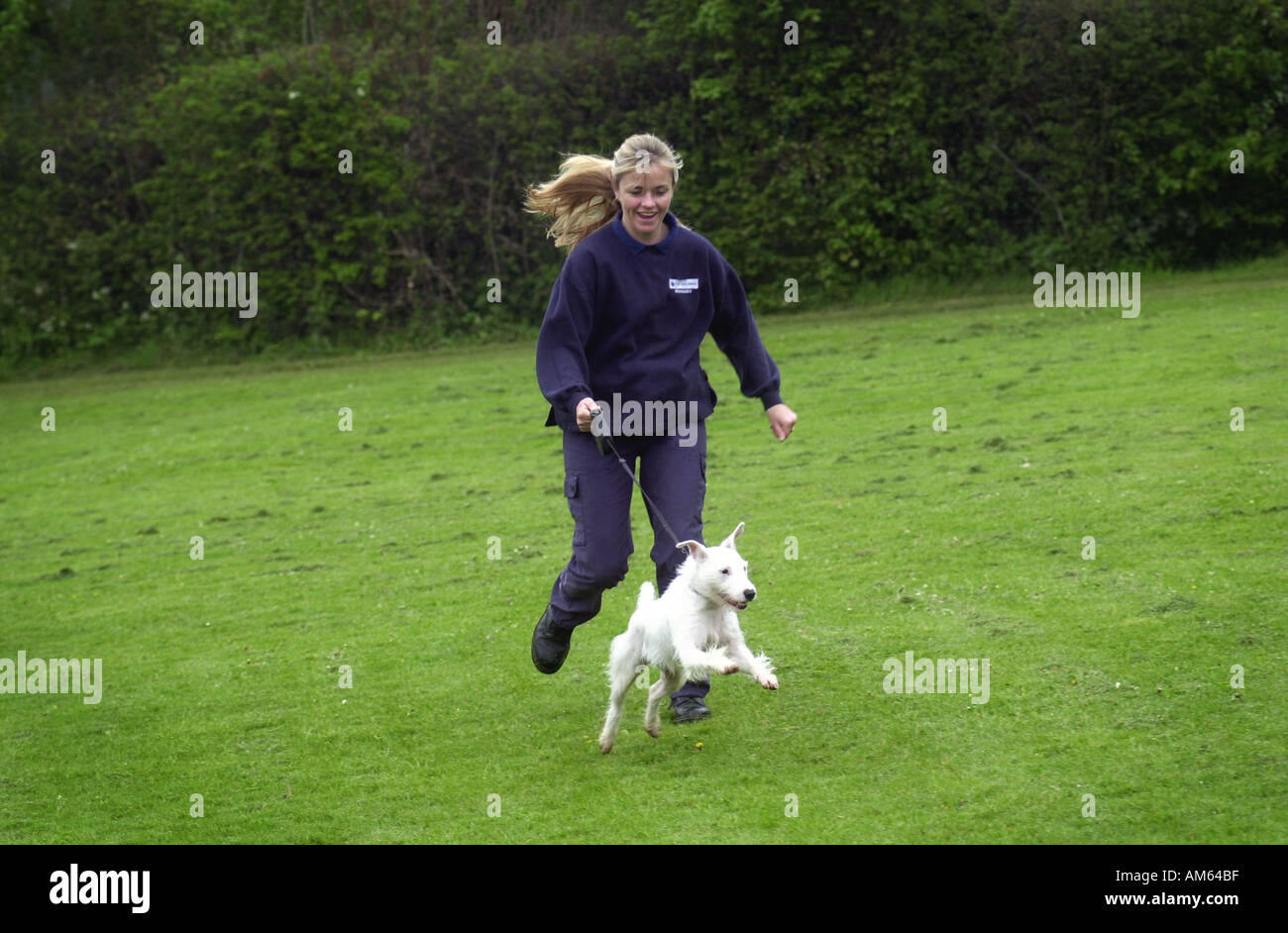 Woman trains dog UK Stock Photo