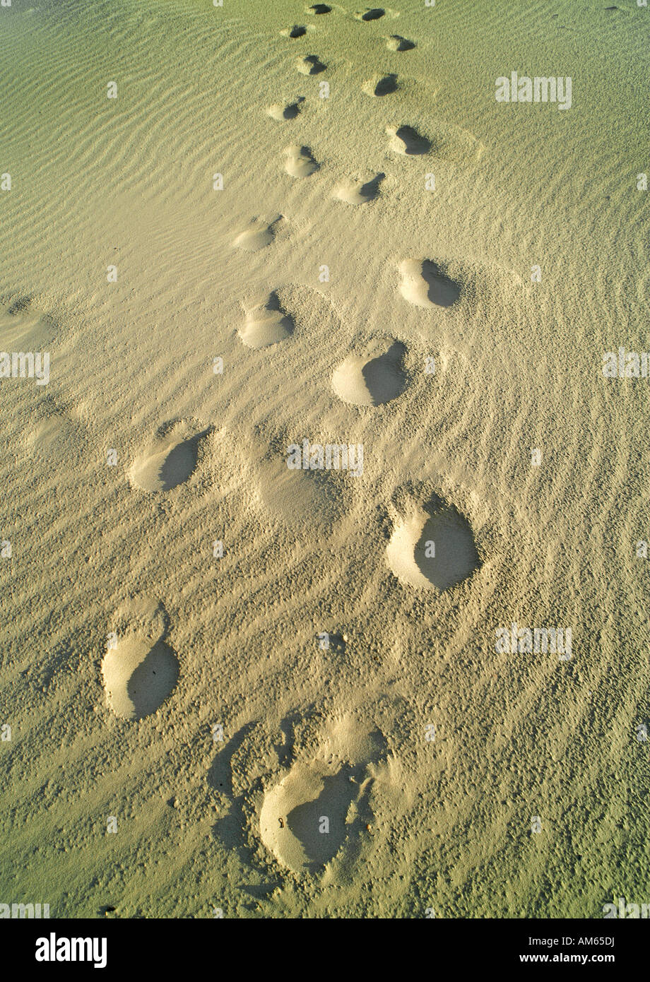 Foot prints in sand, Juist, Lower Saxony, Germany Stock Photo
