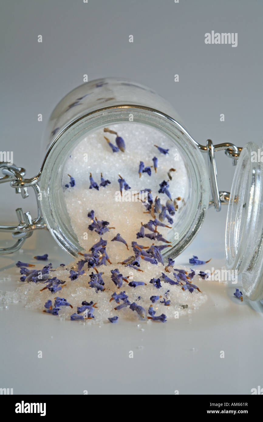 Fine grained sugar with dried lavender blossoms in a preserving jar Stock Photo