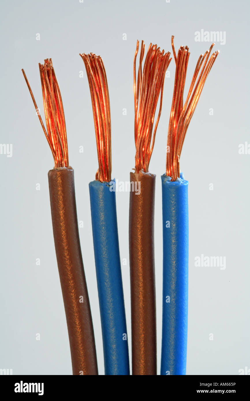 Blue and brown copper cables with bare copper wires Stock Photo - Alamy