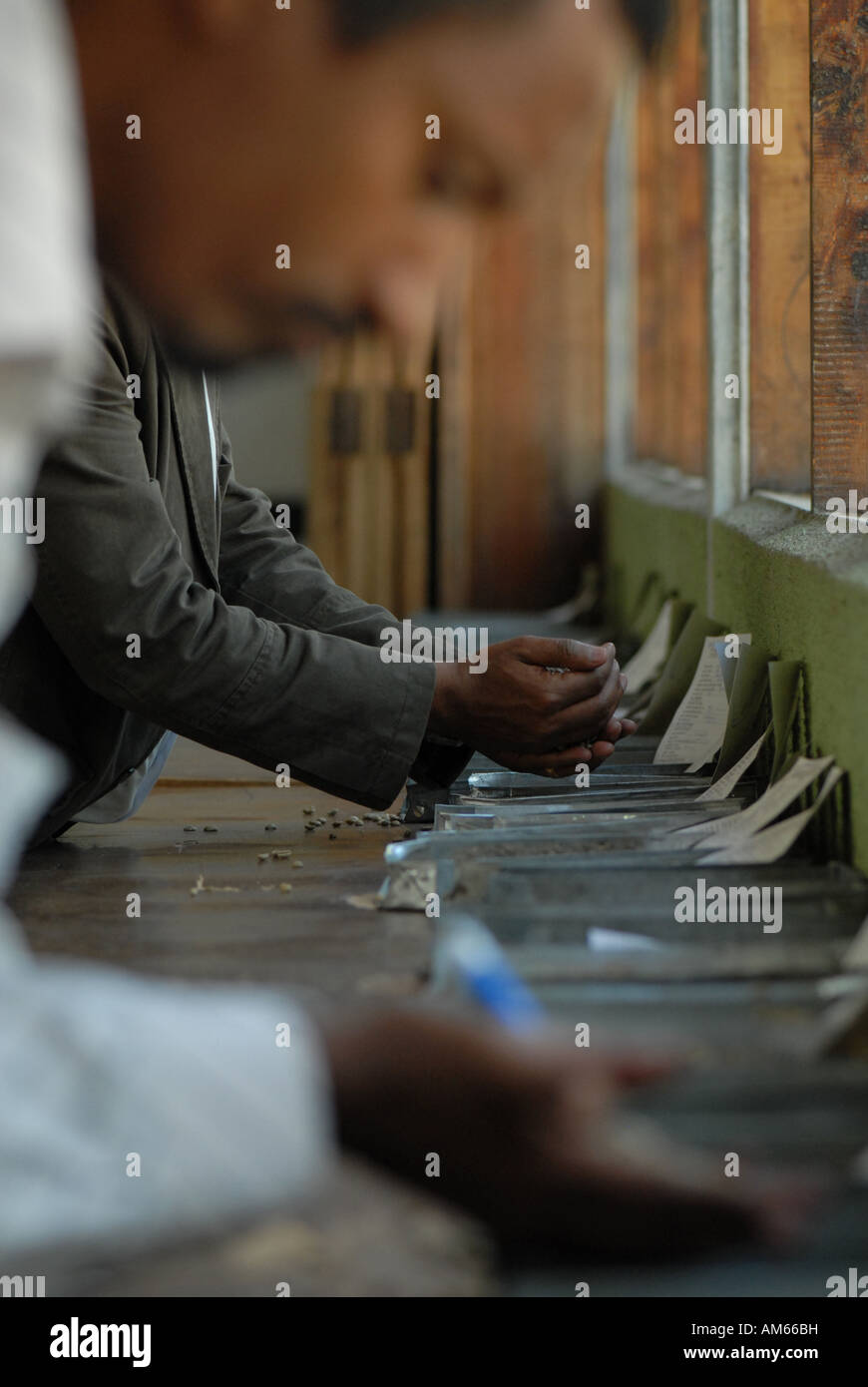Ethiopian coffee buyers check the quality of the coffee for sale at the