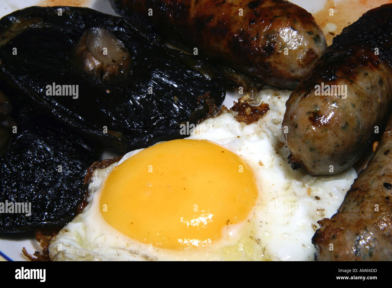 Horrible greesy breakfast closeup Stock Photo