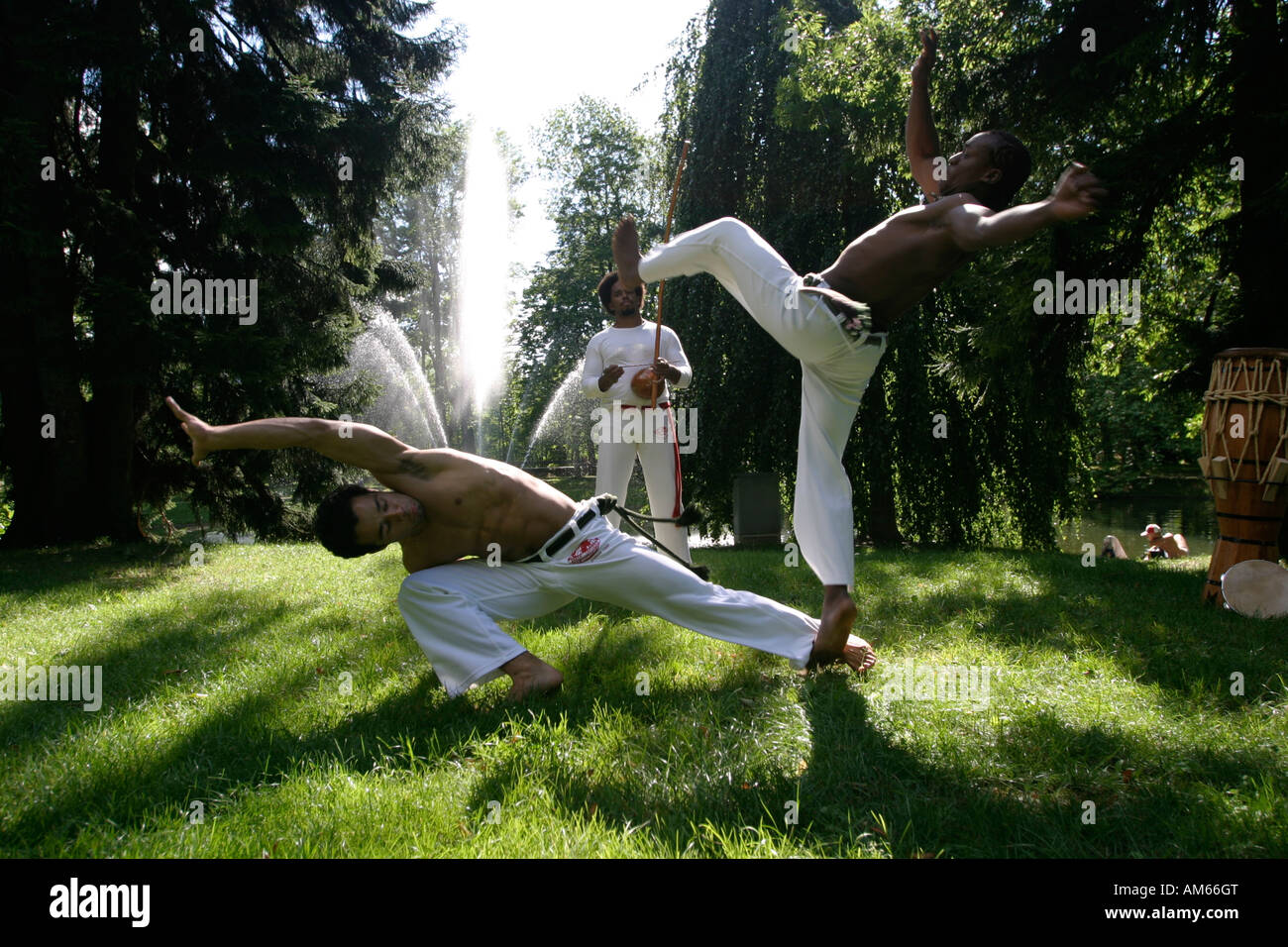 Capoeira fighter in a park, Salzburg, Austria Stock Photo - Alamy