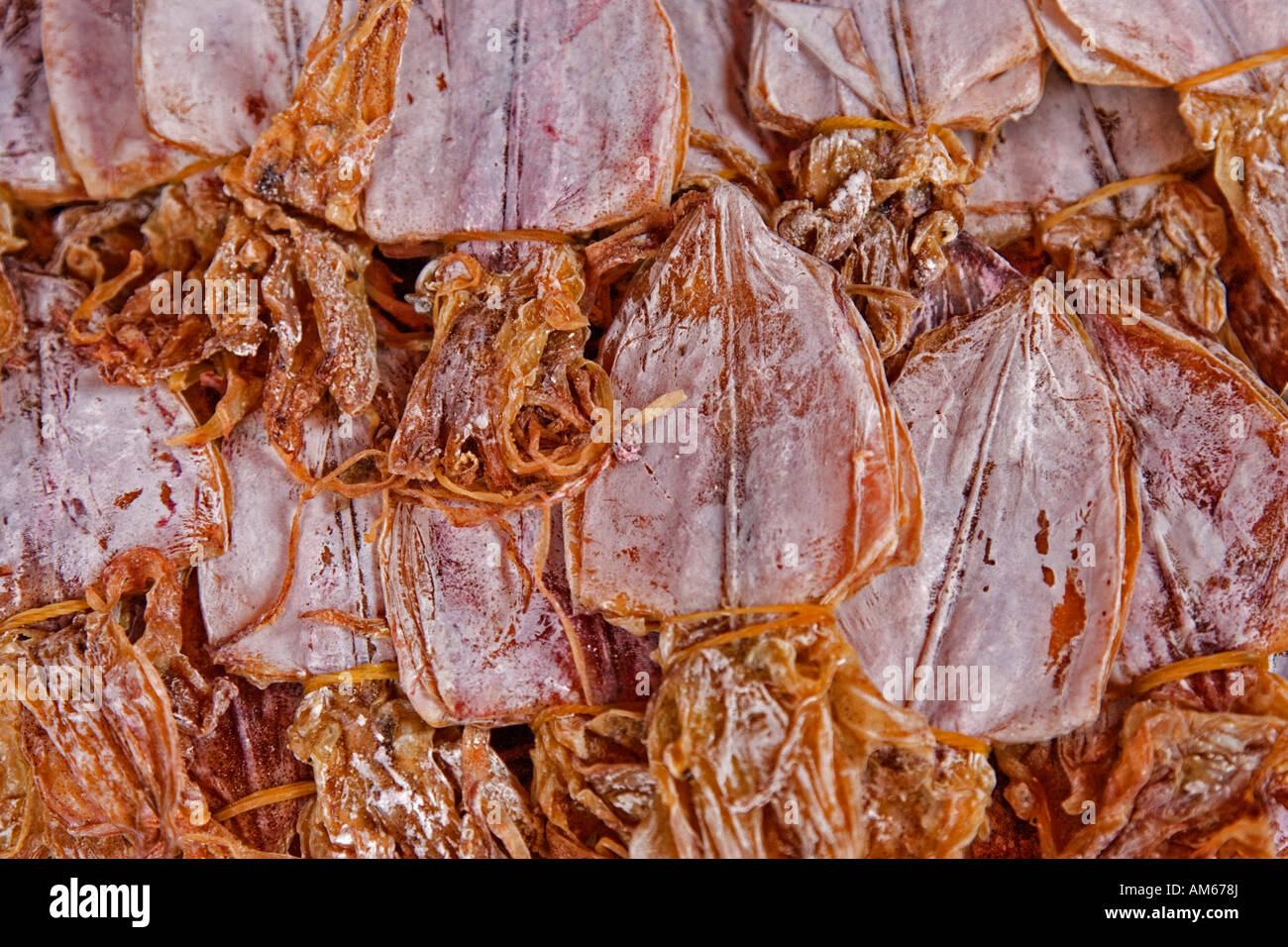 Cuttlefish feeding not cuisine hires stock photography and images Alamy
