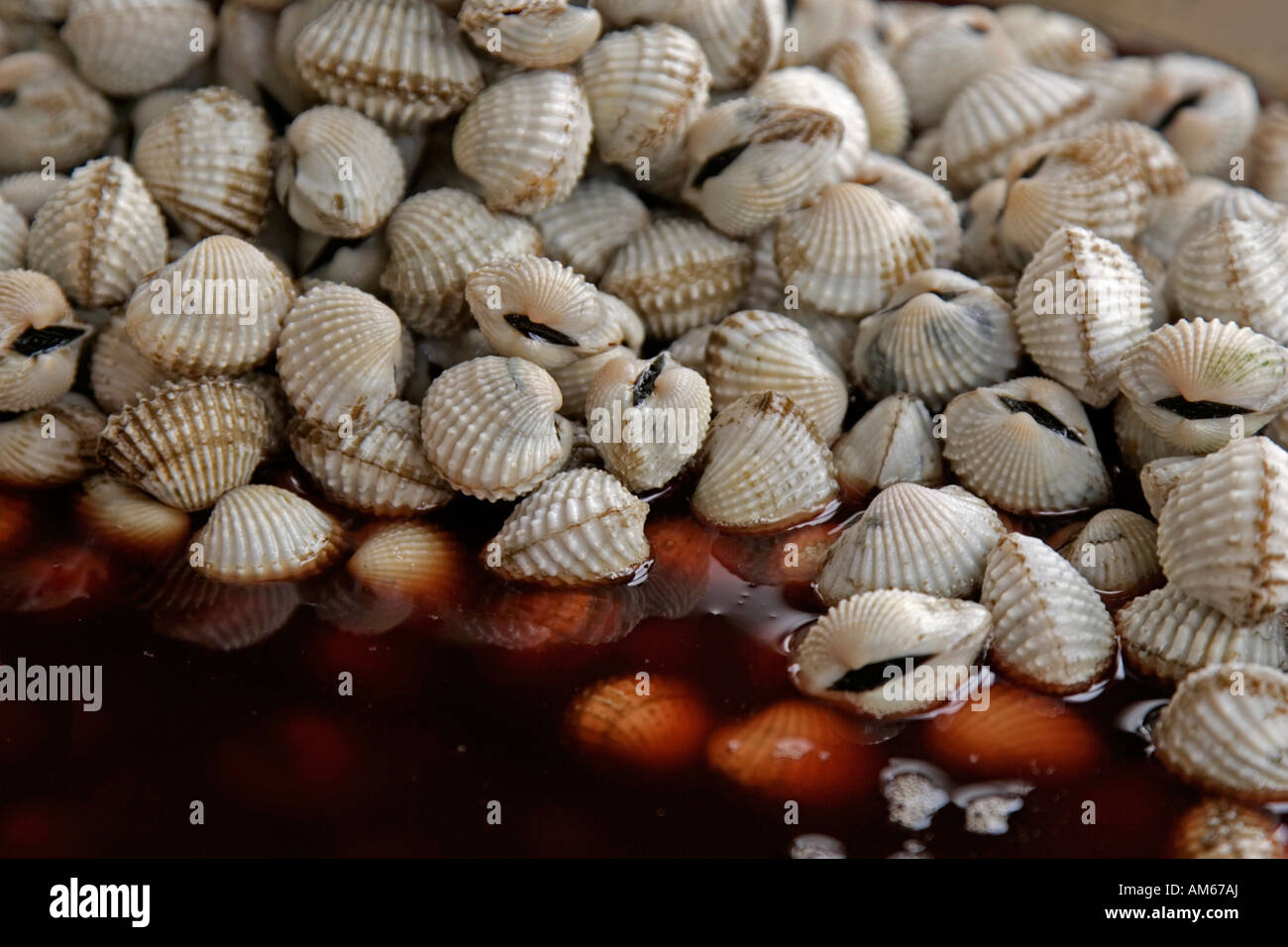 Fangfrisches hi-res stock photography and images - Alamy