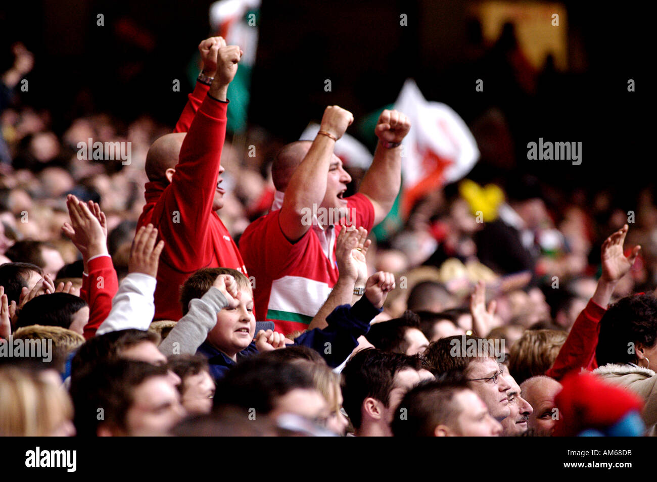 Cardiff Wales Rugby fans cheer their team at the Millenium Stadium ...