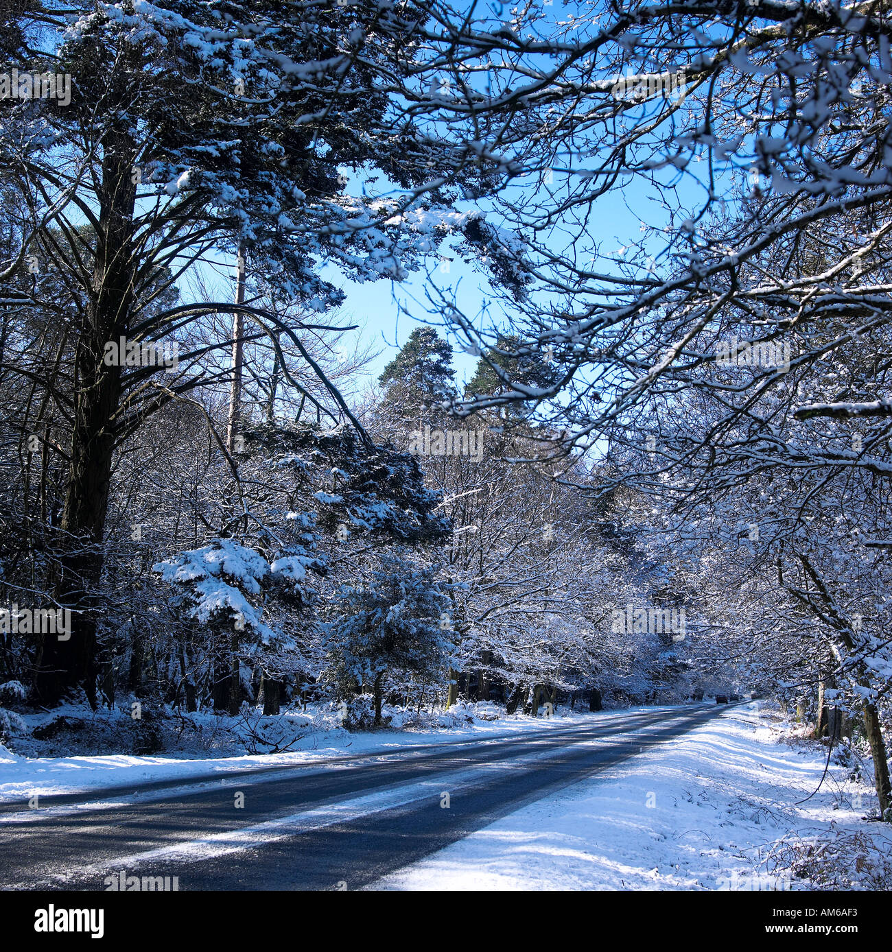 Wintery snow scene Stock Photo